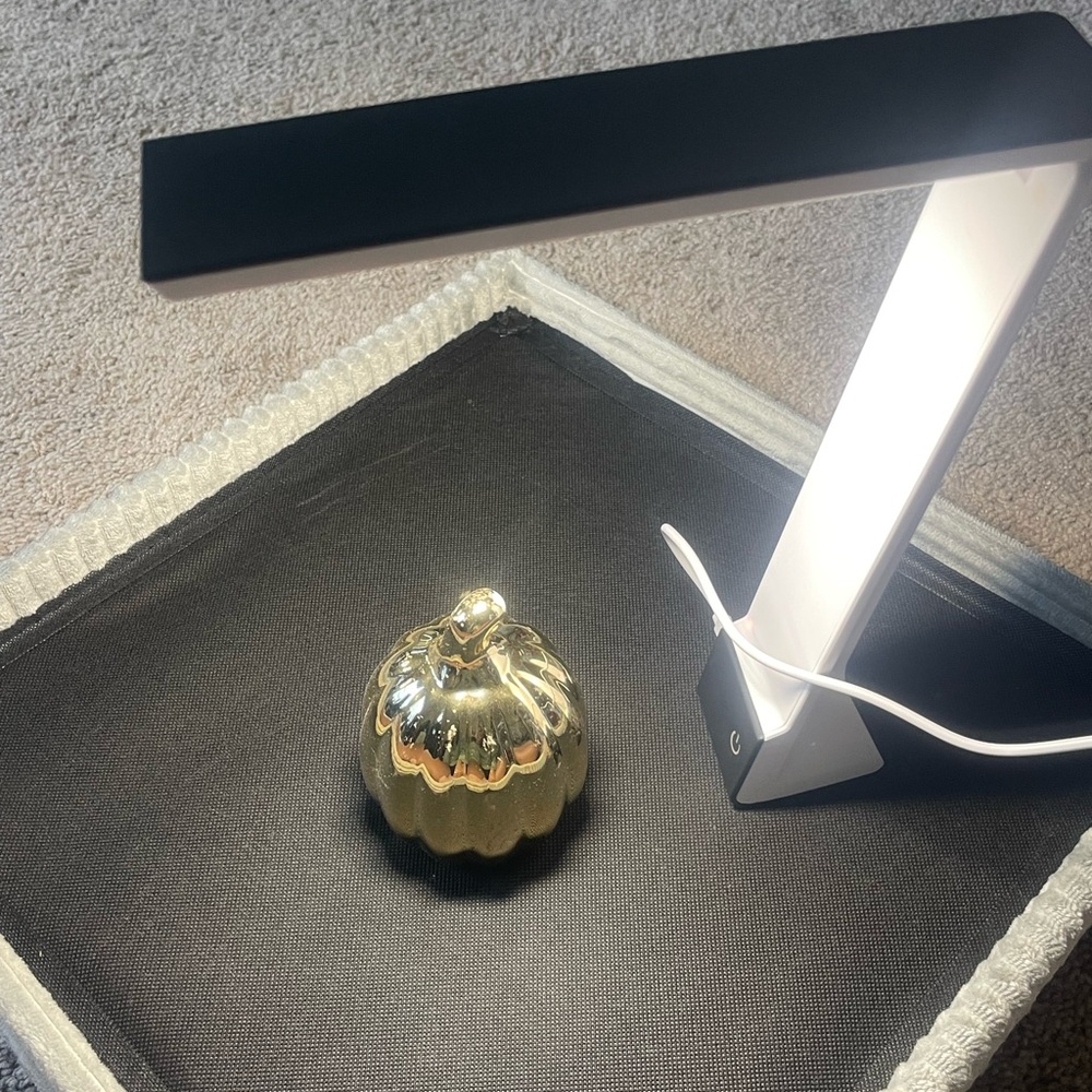 NWOT Konnect™ Battery Operated rechargeable Desk Lamp, Black